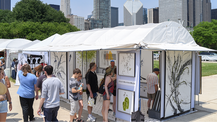 Art Fair