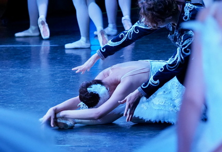 Swan Lake