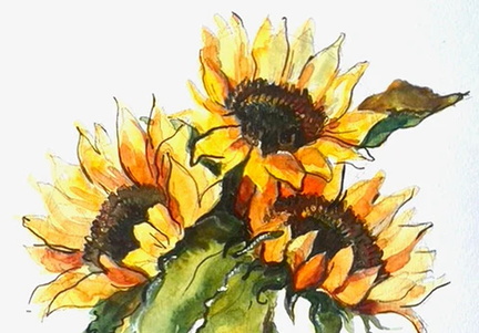 Watercolor Class - J&P Cosentino Family Farm