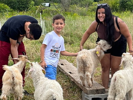 A Tour of The Farm