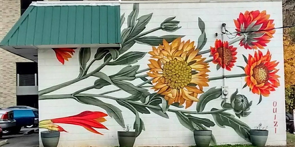 The Original Raleigh Murals Tour