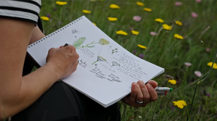 Workshop: Nature Journaling 101