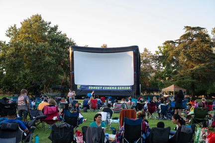 Summer Movies in the Park -  Toy Story (1)
