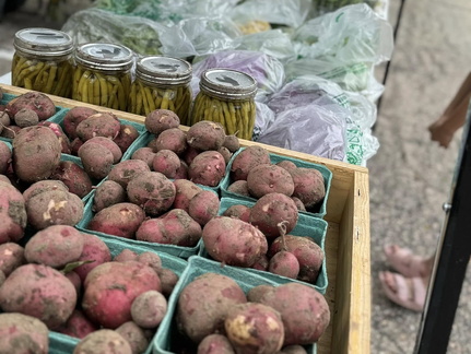 2025 Spring Street Market