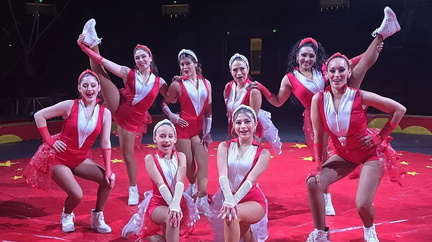 Royal Canadian International Circus