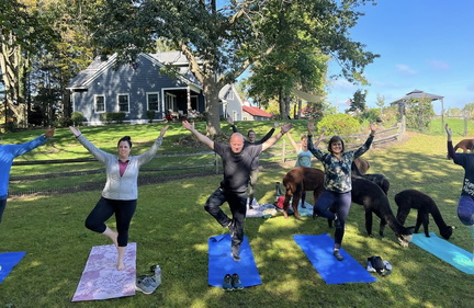 Alpaca Yoga