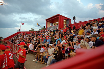 Hamilton Cardinals vs. London Major