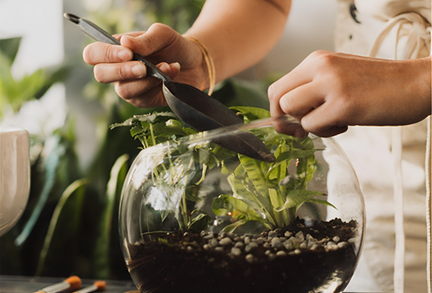 Terrarium Workshop