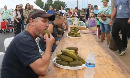 29th Annual Pickle Festival 31