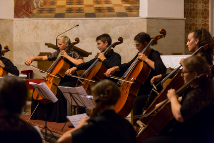 Bled International Music Festival