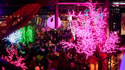 Japan Light &amp; Food Festival