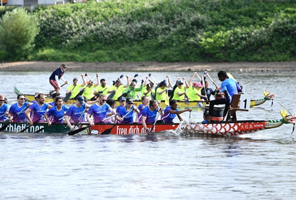 VGF DrachenBoot Festival