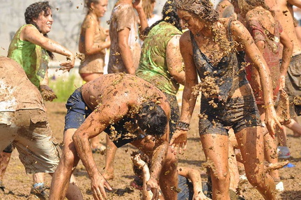 Festa des Vermar