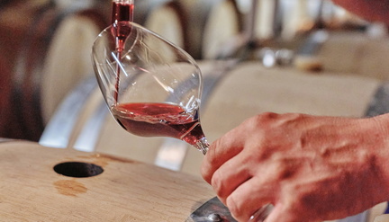 Winery Tour