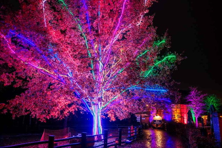 Christmas Garden Hannover
