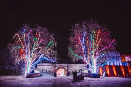 Christmas Garden Koblenz