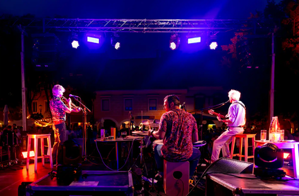 Festival novomesko poletje