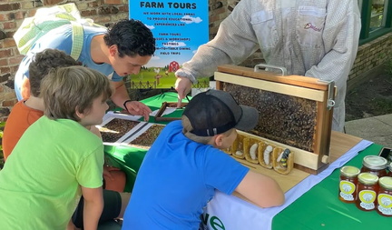 Honeybee Show &amp; Tell with Honey Tasting