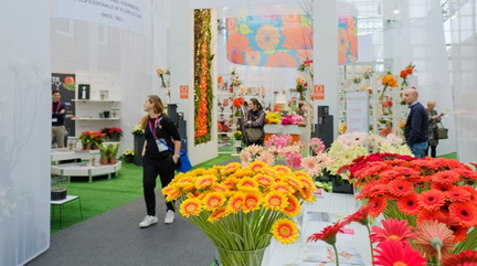 International Flower Fairs