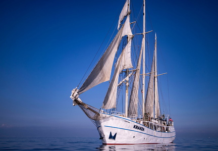 Grande Parade Maritime de Marseille