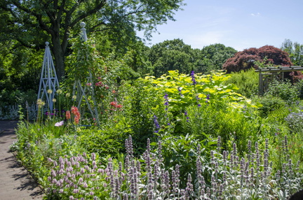 summer_garden-highlights-walk_Wave-Hill_03