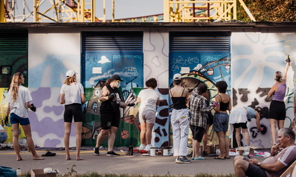 Calle Libre street art festival 31