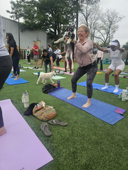 Puppies &amp; Pilates - Marietta