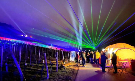 Wine Lights Enjoy 31