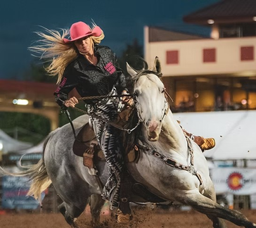 The Pioneer Rodeo