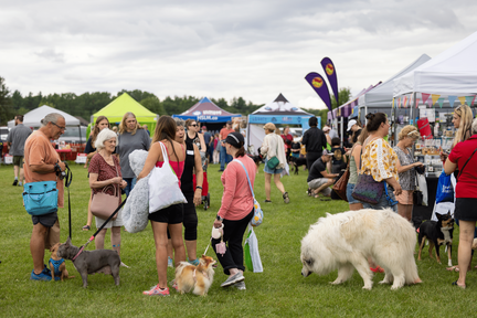 Dorchester Per Fest