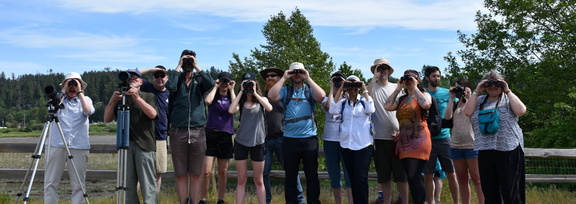 Stewardship for Wildlife: Birds, Bats & Bugs