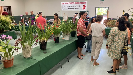 Orchids Show and Sale in the Park