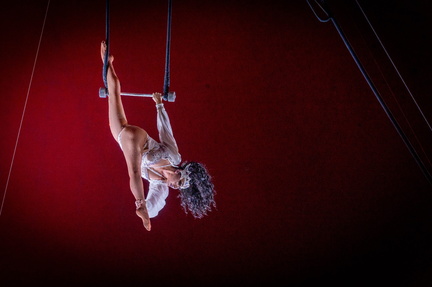Royal Canadian International Circus