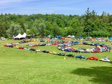 PCA UCR Annual Picnic