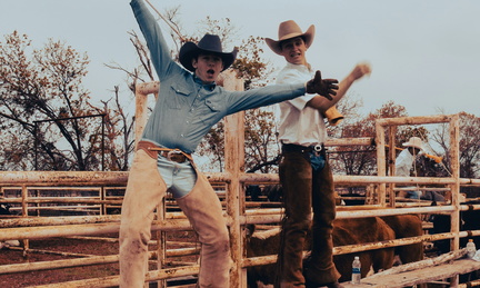 cowboy 31