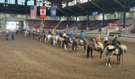 Big Apple Shoot Out Horse Show