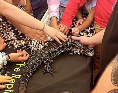 Reptile and Bug Show