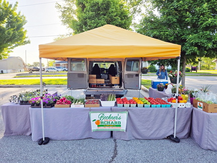 Farmers Market @ 7735 Main St 31
