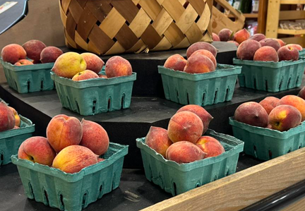 Peaches and Beaches Festival 2025