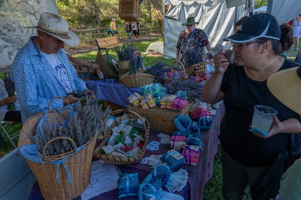 Lavender In The Village Festival