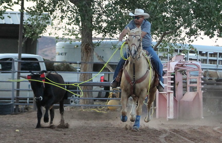 The Rodeo