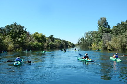 Long Half Day Kayak Tour