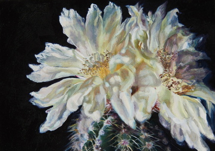 Hannah Moghbel - Desert Mystics