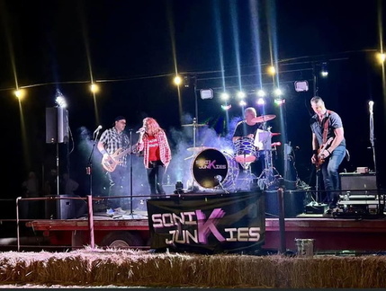 Sonic Junkies