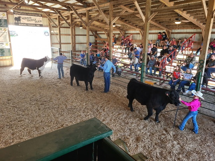 St.Francois County Fair