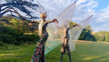 Dragonfly Festival - Circus Spectacular
