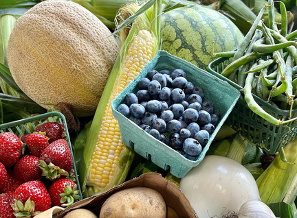 North York Farmers Market