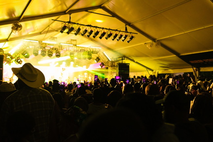 Afroswitch Music Festival