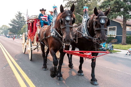 parade(5)