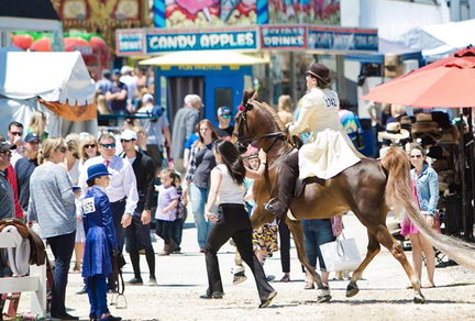 2025 Ingham County Fair Open Horse Show